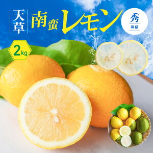 yӂ邳Ɣ[Łz V؃  G 2kg t[c In͔| z  Ղ т ʔ炲ƐHׂ O[ n CG[ Vs Y Y 