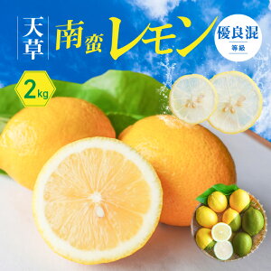 yӂ邳Ɣ[Łz V؃  DǍ 2kg t[c In͔| z  Ղ т ʔ炲ƐHׂ O[ n CG[ Vs Y 