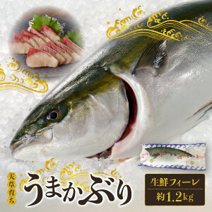 yӂ邳Ɣ[ŁzV炿  ܂ Ԃ N tB[  1.2kg ^pbN ł͂