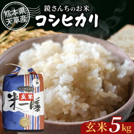 【ふるさと納税】令和7年産 コシヒカリ 5kg 玄米 単一原料米 ごはん 米 おにぎり 米作り 熊本県 天草 お取り寄せ 食品 九州 故郷の味 常温 送料無料