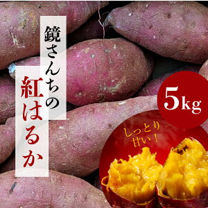 yӂ邳Ɣ[Łzg͂邩 5kg ܂ Ƃ x Â Ă  V VՂ w XC[g|eg  XC[c aXC[c fU[g  AW JC  B 
