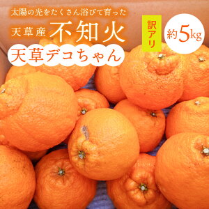 yӂ邳Ɣ[Łzy󂠂zsm  5kg ƒp TCY 5L ` M i  VY Ǐn _ oX VfR k { ʕ ʎ t[c ʎ ΂_ fU[g XC[c Hi 