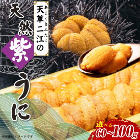 【ふるさと納税】【期間限定】 天草二江 天然 紫うに 選べる 内容量 60g 80g 100g 国産 濃厚 フルーティ 甘み うに ミネラル豊富 海の幸 生うに ごはん 夕飯 海鮮丼 うに丼 パスタ おかず おつまみ 晩酌 肴 海産物 海鮮 魚介 冷蔵 お取り寄せ 熊本県 天草市 送料無料