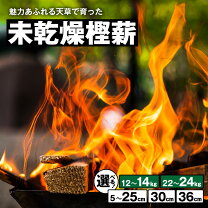 楽天市場】コロ薪の通販