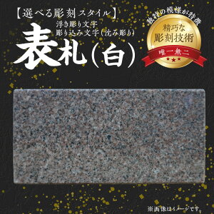yӂ邳Ɣ[Łz\D  1 TCY  19.5cm c 9cm  2cm }zKj[ Iׂ X^C 荞ݕ 蕶    I Zp Z Bꖳ Y΍ދƐi 