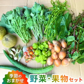 【ふるさと納税】野菜 果物 セット 旬 詰合せ 8〜10品 おまかせ 採れたて 晩柑 温州みかん ビワ スモモ レモン いちじく 甘柿 自然栽培 季節 露地栽培 栽培期間中農薬不使用 安心 お楽しみ 常温 冷蔵 天草産 九州 産地直送 お取り寄せグルメ 熊本県 天草市 送料無料