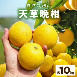 yӂ邳Ɣ[ŁzVӊ 10kg ӊ R͔| ς肵Â u W[V[ ݂ ݂ Y VY g_ k { t[c ʕ ʎ ʏ` r^~C fU[g aO[v