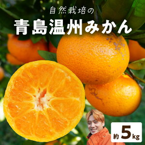 yӂ邳Ɣ[ŁzB݂  5kg 35 ` 45 B݂ Ӑ x ǂ R͔| ݂ Y VY g_ k { t[c ʕ ʎ ʏ` r^~C fU[g Hו