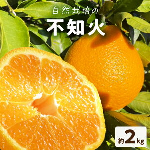 yӂ邳Ɣ[ŁzR͔| sm  2kg 6 ݂ Y x ZȖ킢 k̉l VY k { t[c ʕ ʎ ʏ` r^~C fU[g Hו g_ 퉷  F{