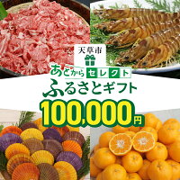 駆け込み寄附でも安心！便利！今年のふるさと納税として、とりあえずの寄附に最...