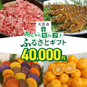 yӂ邳Ɣ[ŁzƂZNg 4~ yӂ邳ƃMtgz ƂIׂ   јa   CN u CV ԊCV   k |J ӂ { V剤 p[ ANZT