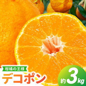 【ふるさと納税】先行予約 デコポン 約3kg 熊本県 天草産 JA本渡五和 高糖度 みかん 柑橘 フルーツ 果物 国産 お取り寄せ 九州 天草市 送料無料