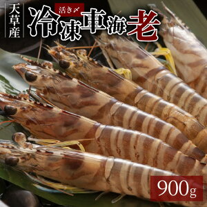 yӂ邳Ɣ[ŁzY ԊCV ^pbN v 900g VN  Gr VՂ LȊÂ Ă fނ̖ XЂ GrtC  V Ⓚ {B V[t[h CY CN C̍K F{ V
