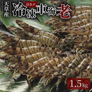 yӂ邳Ɣ[ŁzԊCV 1.5kg 500g 3pbN Y  Ⓚ ^pbN ՂՂ VN NxQ CY  Ă VՂ XЂ GrtC F{ V  񂹃O 