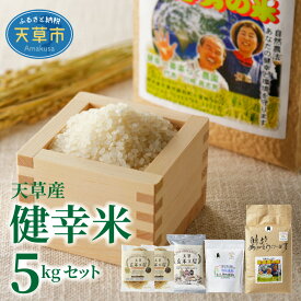 【ふるさと納税】 令和5年産 健幸米セット 精米 5kg コシヒカリ グルテンフリー 玄米麺 焙煎玄米めん 焙煎米粉 赤米 黒米 玄米 スティック 自然栽培米 単一原料米 熊本県 天草 送料無料