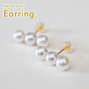 yӂ邳Ɣ[ŁzsAX ^ 3A 6mm - 6.5mm Iׂ  K18YG K14WG PT900 zCgsN ^ p[ ANZT[ WG[ iۏ؏ WG[P[X ^ĂNX  