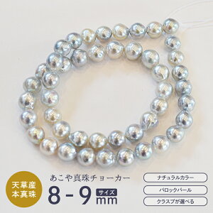 yӂ邳Ɣ[Łz^ lbNX `[J[ NXv ߋ Iׂ ^ SV925 obN p[ 8mm - 9mm Vv WG[ WG[P[X P[Xt Vo[925 ANZT[ 
