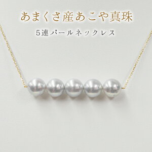 yӂ邳Ɣ[ŁzVY 8-9mm ^ p[lbNX y_g Vo[ 5A