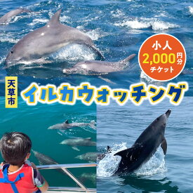 【ふるさと納税】イルカウォッチング チケット 1枚 2,000円分 利用券 小人 小学生 体験 観光 体験プラン クルーズ クルージング 約1時間 ミナミハンドウイルカ イルカ鑑賞 イルカセンター アクティビティ お取り寄せ 熊本県 天草市 送料無料