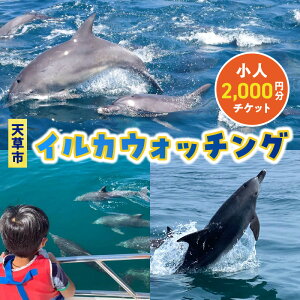 yӂ邳Ɣ[ŁzCJEHb`O `Pbg 1 2,000~ p l w ̌ ό ̌v N[Y N[WO 1 ~i~nhECJ CJӏ CJZ^[ A