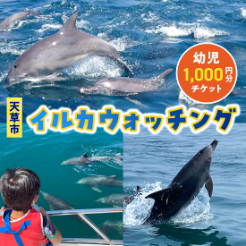 【ふるさと納税】イルカウォッチング チケット 1枚 1,000円分 利用券 幼児 2歳以上 体験 観光 体験プラン クルーズ クルージング 約1時間 ミナミハンドウイルカ イルカ鑑賞 イルカセンター アクティビティ お取り寄せ 熊本県 天草市 送料無料