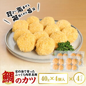yӂ邳Ɣ[Łz̃Jc 160g × 4  4pbN Zbg g邾 悢  Ïkꂽ| ӂ   ^ ^C Jc y  ٓ Ⓚz  