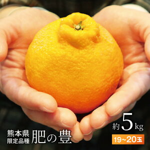 yӂ邳Ɣ[Łz̖L  5kg 19 ` 20 L ` 3L TCY VY F{i nn TCY Xʏ` sm IWi k ʕ t[c Hi IWt@[{c F