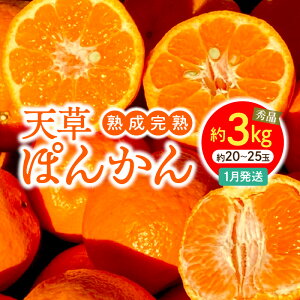 yӂ邳Ɣ[Łzst n n V ۂ񂩂 1  3kg TCY  20 ` 25 傤nۂ񂩂 Gi Nx Z ÂՂ _炩ʓ t[c   㖡