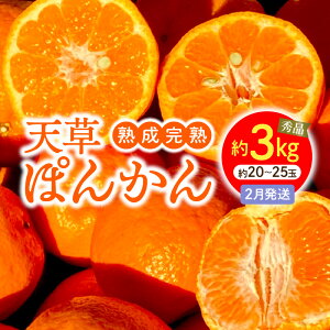 yӂ邳Ɣ[Łzn n V ۂ񂩂 2  3kg TCY  20 ` 25 Ⴕ傤nۂ񂩂 Gi Nx Z ÂՂ _炩ʓ t[c   㖡ǂ \
