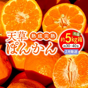 yӂ邳Ɣ[Łzn n V ۂ񂩂 2    5kg TCY  30 ` 40 Ⴕ傤nۂ񂩂 Gi Nx Z ÂՂ _炩ʓ t[c   㖡