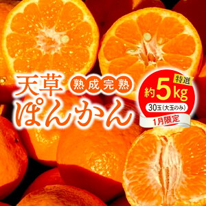 yӂ邳Ɣ[Łz1 n n V ۂ񂩂 1 I   5kg l 30 傤nۂ񂩂 Nx Z ÂՂ _炩ʓ t[c   㖡ǂ \[ 