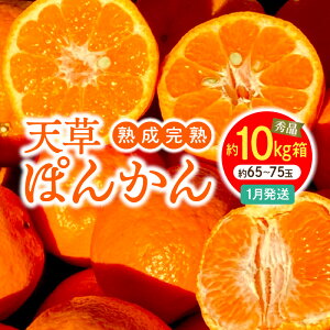 yӂ邳Ɣ[Łzn n V ۂ񂩂 1    10kg TCY  65 ` 75 傤nۂ񂩂 Gi Nx Z ÂՂ _炩ʓ t[c   㖡
