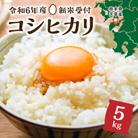 【ふるさと納税】米 早期 新米 5kg コシヒカリ 令和6年産 8月 配送 熊本県 天草産 下浦 とれたて お米 弁当 おにぎり ご飯 食品 食べ物 常温 国産 お取り寄せ 九州 送料無料