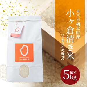 【ふるさと納税】米 くまさんの輝き 小ヶ倉清き米 5kg 精米 白米 ごはん おにぎり おべんとう 米作り 輝き 粘り 旨味 熊本県 天草 栖本町 お取り寄せ お取り寄せグルメ 食品 九州 故郷の味 常