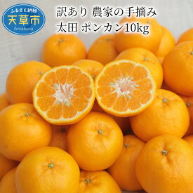 楽天市場 ポンカン 10kg 送料無料の通販 楽天市場 ポンカン 10kg 送料無料の通販