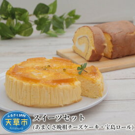 【ふるさと納税】スイーツ セット チーズケーキ ロールケーキ 晩柑 濃厚 宝島 洋菓子