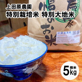 【ふるさと納税】【先行受付】令和8年産 5kg コシヒカリ ヒノヒカリ 特別栽培米 特別大地米 精米 白米 ごはん おにぎり 米作り 熊本県 天草 お取り寄せ 食品 九州 故郷の味 常温 送料無料