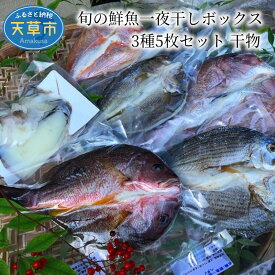 【ふるさと納税】一夜干し 旬 鮮魚 干物 天然 ミネラル製法 塩分 控えめ 魚介類