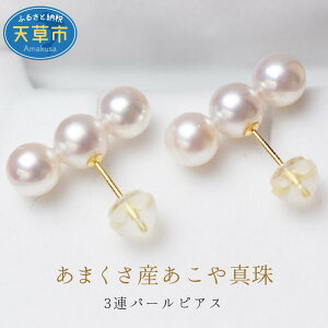 yӂ邳Ɣ[ŁzVY  ^ 3A p[sAX zCgsN 5.5mm ` 6mm Iׂ  CG[S[h zCgS[h sAX iۏ؏ t ANZT[ WG[ ig