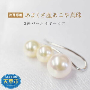 yӂ邳Ɣ[Łz^ p[ sN 3A C[Jt xr[ 5.5mm ` 7.5mm