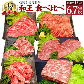 【ふるさと納税】【12ヶ月 定期便】熊本県産 A5 等級 黒毛和牛 和王 食べ比べ 合計6.7kg モモ もも肉 肩ロース ロース すき焼き 焼肉 ステーキ ブロック ブロック肉 スライス 小間切れ 赤身 お肉 牛肉 冷凍 国産 熊本県 合志市 送料無料