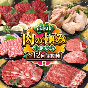 yӂ邳Ɣ[ŁzyS12ցzus̋ɂݒ[AYZZ012]  ؓ nh { јa  S|[N V剤 ~XW q T[C Xe[L u F{ B Y Ⓚ