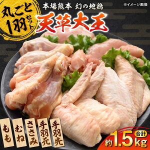 yӂ邳Ɣ[ŁzV剤 1H܂邲ƃZbg v1.5kg yʎВc@lNbV[mz[AYAB011] {    ܂邲 1H   ނ  H H  Ă g 