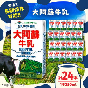 yӂ邳Ɣ[Łz刢h  250ml×24{ 1P[X yʎВc@lNbV[mz[AYAB021]  ~N   刢h h OCt ۑ z 퉷