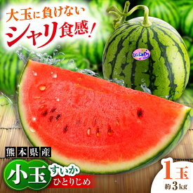 【ふるさと納税】【2026年発送分 先行予約】【数量限定】小玉すいか 1玉入（約3kg） 　【一般社団法人クラッシーノこうし】[AYAB023]