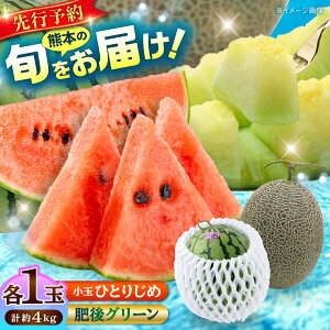 yӂ邳Ɣ[Łzy2026N s\zyʌz O[  1(2kg)    1(2kg) ЂƂ肶 v4kgy z[AYAC016]