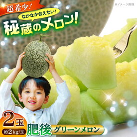 【ふるさと納税】【2026年発送分 先行予約】【数量限定】肥後グリーンメロン 2玉 計4kg 【合同会社 福福堂】[AYAC045] メロン めろん 人気 鮮度 味 人気 評判 産地 高級 種類 甘さ フレッシュ ジューシー 熊本県 合志 果物 くだもの フルーツ 人気 季節 おすすめ ブランド