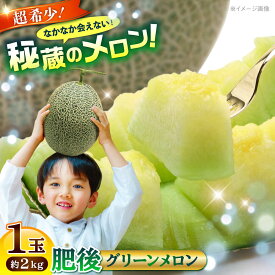 【ふるさと納税】【2026年発送分 先行予約】【数量限定】肥後グリーンメロン 1玉 計約2kg 【合同会社 福福堂】[AYAC053] メロン めろん 人気 鮮度 味 人気 評判 産地 高級 種類 甘さ フレッシュ ジューシー 熊本県 合志 果物 くだもの フルーツ 人気 季節 おすすめ ブランド