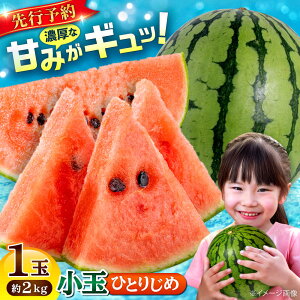 yӂ邳Ɣ[Łzy2026N s\zyʌz  1 ЂƂ肶 v2kg y z[AYAC054] XCJ Z lC ] Yn   Â   r[ r t