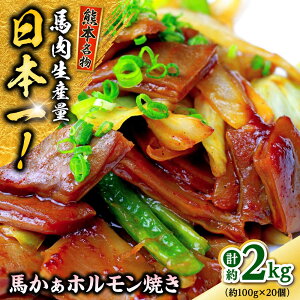 yӂ邳Ɣ[ŁzF{ n nzĂ 2kgi100g×20) y 狻t@[z[AYAF093]